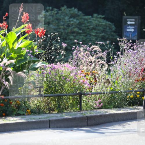 08.09.2024 - Stadtparktriathlon Zöllner http://msf.ph/oto/7022085 08.09.2024 10:25:18 Radfahren 213, 358 meine-sportfotos.de