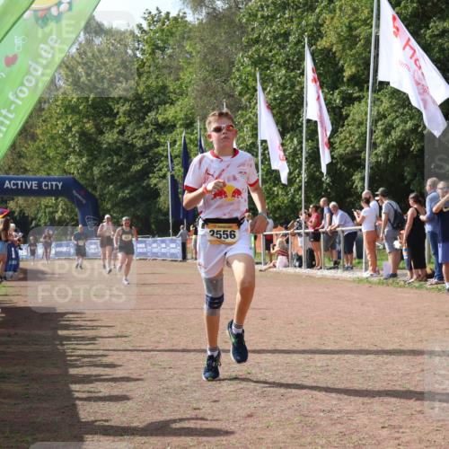 08.09.2024 - Airport Race Strokosch-Dieckow http://msf.ph/oto/7022497 08.09.2024 12:10:22 Ziel 921, 2556, 2732, 2848 meine-sportfotos.de