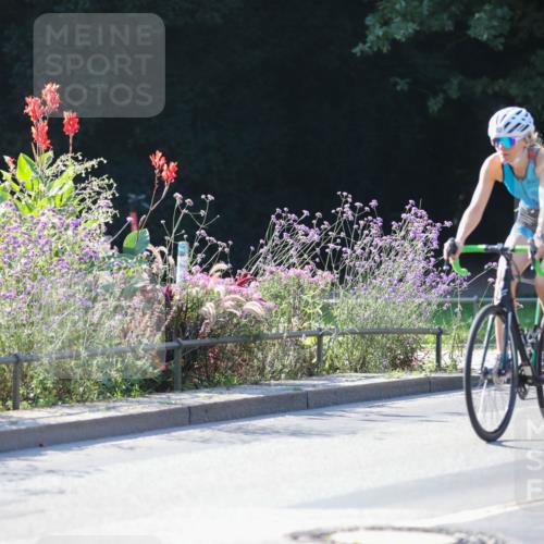 08.09.2024 - Stadtparktriathlon Zöllner http://msf.ph/oto/7022842 08.09.2024 10:29:02 Radfahren 293, 352, 1937 meine-sportfotos.de