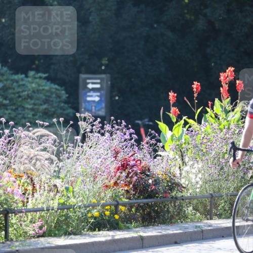 08.09.2024 - Stadtparktriathlon Zöllner http://msf.ph/oto/7023164 08.09.2024 10:38:52 Radfahren 320, 384, 402, 419, 426, 434, 447, 448, 450 meine-sportfotos.de