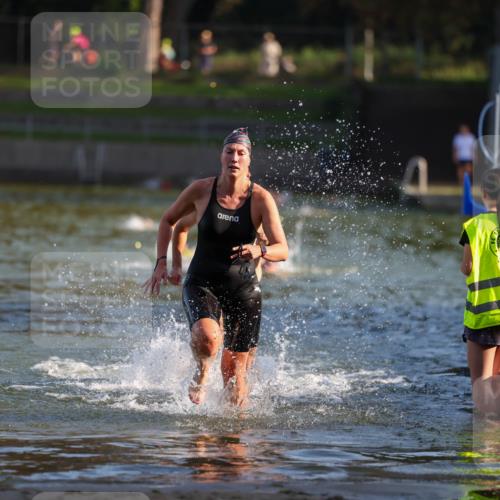 08.09.2024 - Stadtparktriathlon Michael Strokosch http://msf.ph/oto/7023635 08.09.2024 09:46:23 Schwimmen 250, 256 meine-sportfotos.de