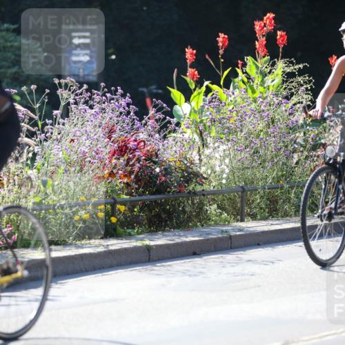 08.09.2024 - Stadtparktriathlon Zöllner http://msf.ph/oto/7023861 08.09.2024 10:41:28 Radfahren 251, 306, 315, 327, 351, 391, 399, 401, 411 meine-sportfotos.de