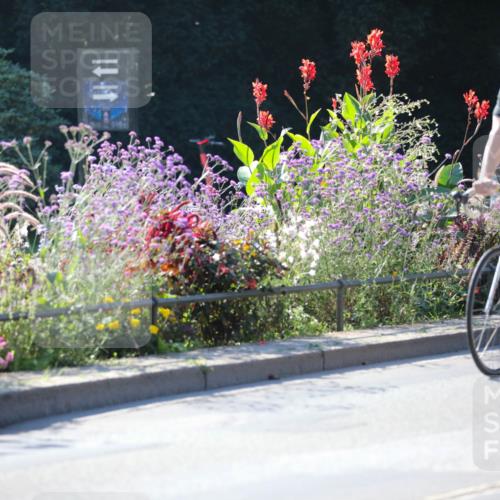 08.09.2024 - Stadtparktriathlon Zöllner http://msf.ph/oto/7024043 08.09.2024 10:42:19 Radfahren 43, 311, 321, 322, 329, 360, 373, 375 meine-sportfotos.de