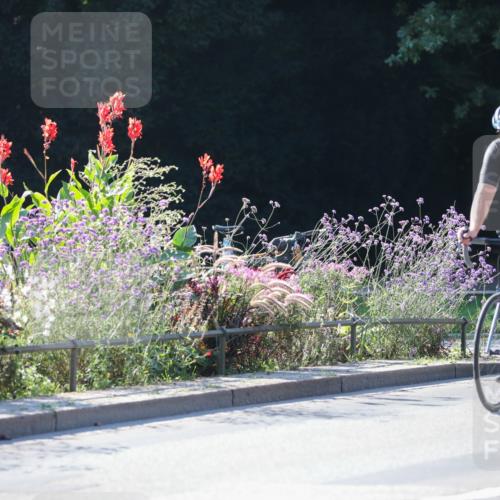 08.09.2024 - Stadtparktriathlon Zöllner http://msf.ph/oto/7024439 08.09.2024 10:43:42 Radfahren 274, 319, 364, 368 meine-sportfotos.de