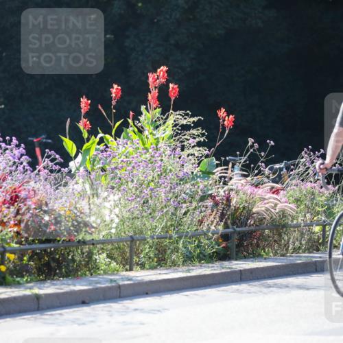 08.09.2024 - Stadtparktriathlon Zöllner http://msf.ph/oto/7024445 08.09.2024 10:43:42 Radfahren 274, 319, 364, 368 meine-sportfotos.de