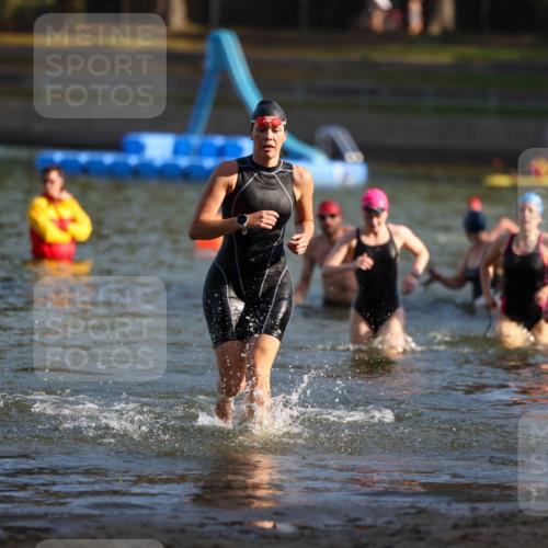 08.09.2024 - Stadtparktriathlon Michael Strokosch http://msf.ph/oto/7024471 08.09.2024 09:48:40 Schwimmen 190, 212, 215, 230, 241, 255, 258 meine-sportfotos.de