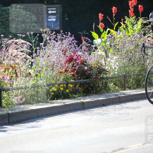 08.09.2024 - Stadtparktriathlon Zöllner http://msf.ph/oto/7024612 08.09.2024 10:44:10 Radfahren 254, 357, 389, 421, 453, 459 meine-sportfotos.de