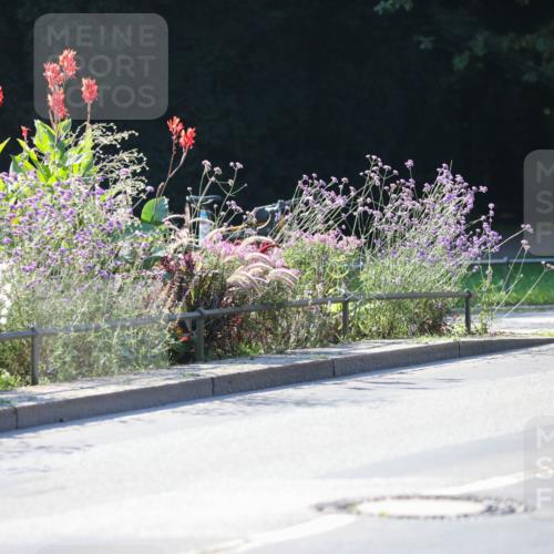 08.09.2024 - Stadtparktriathlon Zöllner http://msf.ph/oto/7024620 08.09.2024 10:44:16 Radfahren 254, 348, 415, 421, 453, 459 meine-sportfotos.de