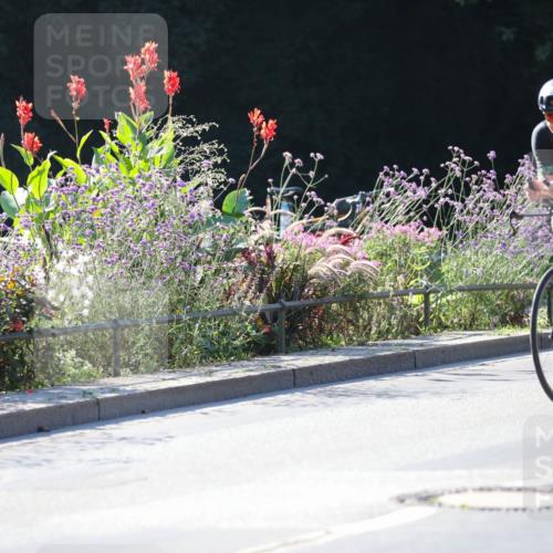 08.09.2024 - Stadtparktriathlon Zöllner http://msf.ph/oto/7024626 08.09.2024 10:44:16 Radfahren 254, 348, 415, 421, 453, 459 meine-sportfotos.de