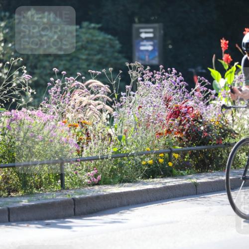 08.09.2024 - Stadtparktriathlon Zöllner http://msf.ph/oto/7024632 08.09.2024 10:44:17 Radfahren 254, 348, 415, 421, 453, 459 meine-sportfotos.de
