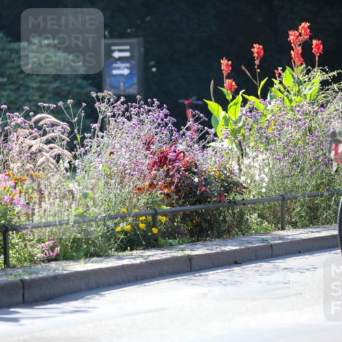 08.09.2024 - Stadtparktriathlon Zöllner http://msf.ph/oto/7024736 08.09.2024 10:44:50 Radfahren 232, 285, 363, 396, 430, 452, 455 meine-sportfotos.de