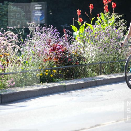 08.09.2024 - Stadtparktriathlon Zöllner http://msf.ph/oto/7024790 08.09.2024 10:45:03 Radfahren 264, 318 meine-sportfotos.de