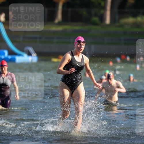 08.09.2024 - Stadtparktriathlon Michael Strokosch http://msf.ph/oto/7025013 08.09.2024 09:49:36 Schwimmen 186, 216, 244 meine-sportfotos.de