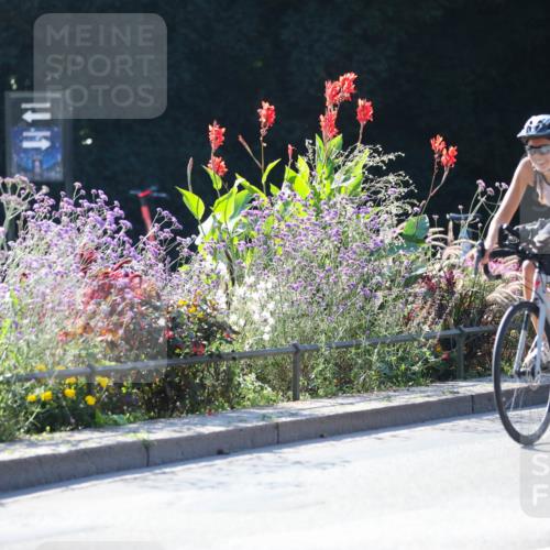 08.09.2024 - Stadtparktriathlon Zöllner http://msf.ph/oto/7025049 08.09.2024 10:46:58 Radfahren 278, 292, 343, 346, 372 meine-sportfotos.de