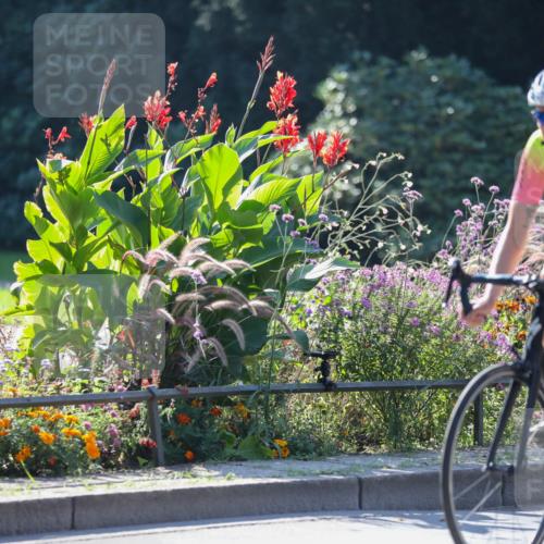08.09.2024 - Stadtparktriathlon Zöllner http://msf.ph/oto/7025102 08.09.2024 10:47:06 Radfahren 278, 343, 346, 366 meine-sportfotos.de