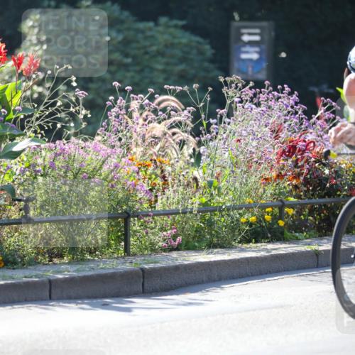 08.09.2024 - Stadtparktriathlon Zöllner http://msf.ph/oto/7025265 08.09.2024 10:47:41 Radfahren 281, 296, 391, 393, 424, 449, 456 meine-sportfotos.de