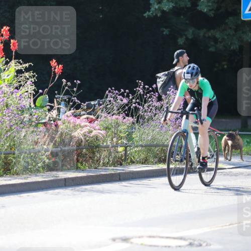 08.09.2024 - Stadtparktriathlon Zöllner http://msf.ph/oto/7025313 08.09.2024 10:47:55 Radfahren 302, 324, 385, 387, 399, 423, 432, 439, 449 meine-sportfotos.de