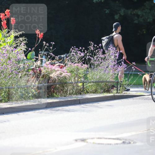 08.09.2024 - Stadtparktriathlon Zöllner http://msf.ph/oto/7025338 08.09.2024 10:47:58 Radfahren 302, 324, 399, 408, 423, 432, 439 meine-sportfotos.de