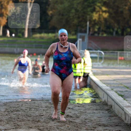 08.09.2024 - Stadtparktriathlon Michael Strokosch http://msf.ph/oto/7025402 08.09.2024 09:50:11 Schwimmen 183, 206, 228, 237 meine-sportfotos.de