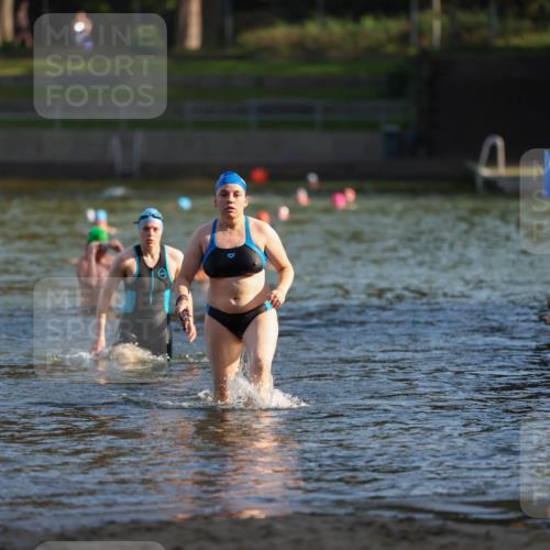 08.09.2024 - Stadtparktriathlon Michael Strokosch http://msf.ph/oto/7025536 08.09.2024 09:50:31 Schwimmen 191, 248 meine-sportfotos.de