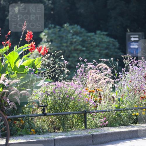08.09.2024 - Stadtparktriathlon Zöllner http://msf.ph/oto/7026090 08.09.2024 10:50:47 Radfahren 308, 329, 332, 356, 360, 457, 459 meine-sportfotos.de