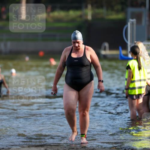 08.09.2024 - Stadtparktriathlon Michael Strokosch http://msf.ph/oto/7026198 08.09.2024 09:52:21 Schwimmen 210, 233, 246 meine-sportfotos.de