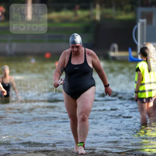 08.09.2024 - Stadtparktriathlon Michael Strokosch http://msf.ph/oto/7026215 08.09.2024 09:52:22 Schwimmen 210, 233, 246 meine-sportfotos.de