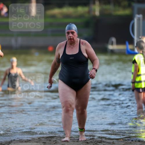 08.09.2024 - Stadtparktriathlon Michael Strokosch http://msf.ph/oto/7026229 08.09.2024 09:52:22 Schwimmen 210, 233, 246 meine-sportfotos.de