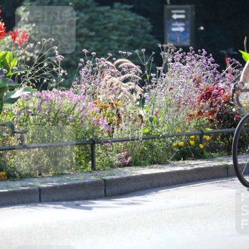 08.09.2024 - Stadtparktriathlon Zöllner http://msf.ph/oto/7026251 08.09.2024 10:51:09 Radfahren 286, 362, 421, 422, 438 meine-sportfotos.de