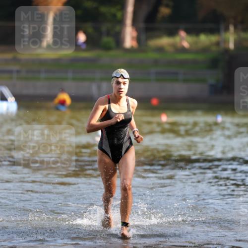 08.09.2024 - Stadtparktriathlon Michael Strokosch http://msf.ph/oto/7026279 08.09.2024 09:52:31 Schwimmen 246 meine-sportfotos.de
