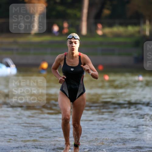 08.09.2024 - Stadtparktriathlon Michael Strokosch http://msf.ph/oto/7026302 08.09.2024 09:52:32 Schwimmen 246 meine-sportfotos.de