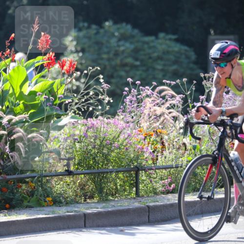 08.09.2024 - Stadtparktriathlon Zöllner http://msf.ph/oto/7026310 08.09.2024 10:51:27 Radfahren 274 meine-sportfotos.de