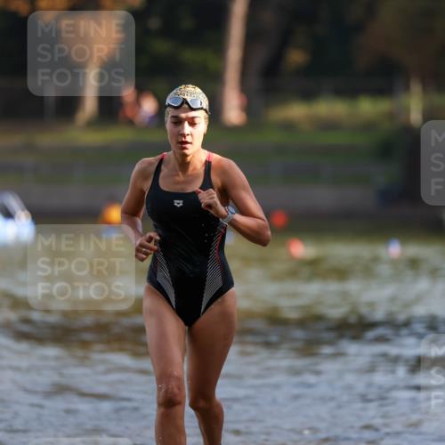 08.09.2024 - Stadtparktriathlon Michael Strokosch http://msf.ph/oto/7026312 08.09.2024 09:52:33 Schwimmen 246 meine-sportfotos.de