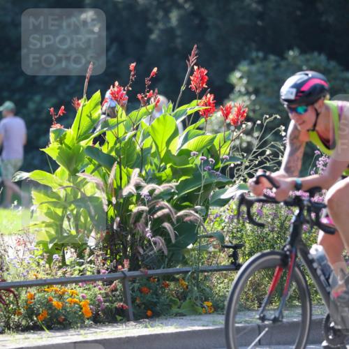 08.09.2024 - Stadtparktriathlon Zöllner http://msf.ph/oto/7026320 08.09.2024 10:51:27 Radfahren 274 meine-sportfotos.de