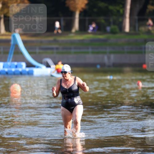 08.09.2024 - Stadtparktriathlon Michael Strokosch http://msf.ph/oto/7026351 08.09.2024 09:53:03 Schwimmen 235 meine-sportfotos.de