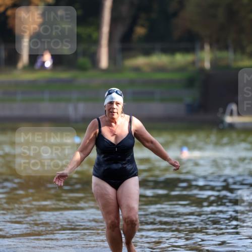 08.09.2024 - Stadtparktriathlon Michael Strokosch http://msf.ph/oto/7026405 08.09.2024 09:53:08 Schwimmen 235 meine-sportfotos.de