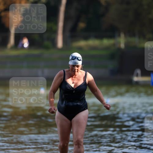 08.09.2024 - Stadtparktriathlon Michael Strokosch http://msf.ph/oto/7026419 08.09.2024 09:53:09 Schwimmen 235 meine-sportfotos.de