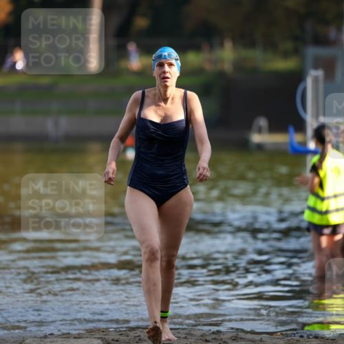 08.09.2024 - Stadtparktriathlon Michael Strokosch http://msf.ph/oto/7026612 08.09.2024 09:54:22 Schwimmen 261 meine-sportfotos.de