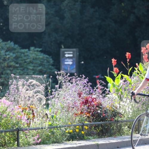 08.09.2024 - Stadtparktriathlon Zöllner http://msf.ph/oto/7026859 08.09.2024 10:53:30 Radfahren 282, 285, 293, 303, 318, 382, 391, 392, 419, 448 meine-sportfotos.de