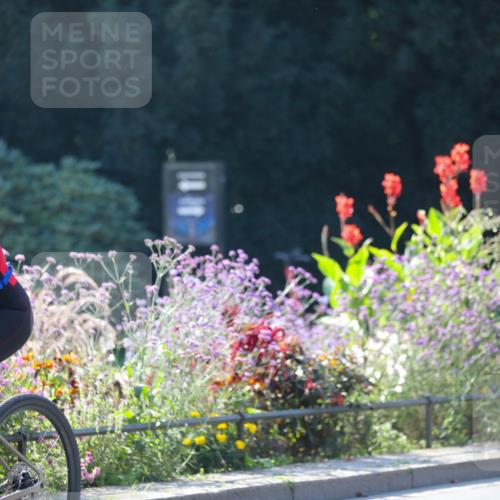 08.09.2024 - Stadtparktriathlon Zöllner http://msf.ph/oto/7026892 08.09.2024 10:53:31 Radfahren 282, 285, 293, 303, 318, 382, 391, 392, 419, 423, 448 meine-sportfotos.de