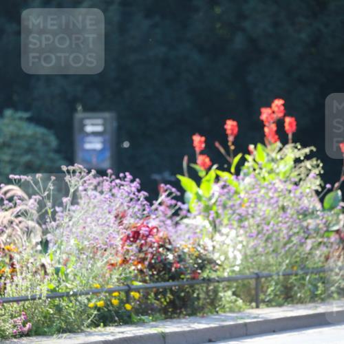 08.09.2024 - Stadtparktriathlon Zöllner http://msf.ph/oto/7026900 08.09.2024 10:53:31 Radfahren 282, 285, 293, 303, 318, 382, 391, 392, 419, 423, 448 meine-sportfotos.de