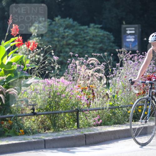 08.09.2024 - Stadtparktriathlon Zöllner http://msf.ph/oto/7027005 08.09.2024 10:53:41 Radfahren 285, 318, 387, 391, 405, 423, 449 meine-sportfotos.de