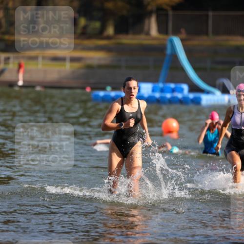 08.09.2024 - Stadtparktriathlon Michael Strokosch http://msf.ph/oto/7027237 08.09.2024 10:12:40 Schwimmen 290, 292, 361 meine-sportfotos.de