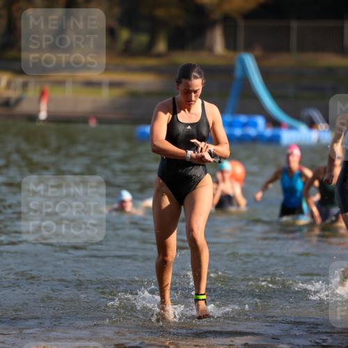 08.09.2024 - Stadtparktriathlon Michael Strokosch http://msf.ph/oto/7027265 08.09.2024 10:12:43 Schwimmen 290, 292, 332, 352, 361 meine-sportfotos.de