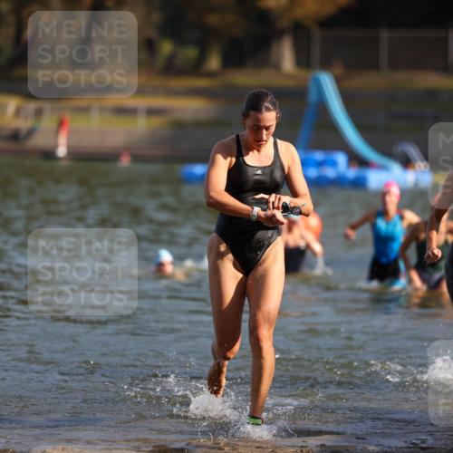 08.09.2024 - Stadtparktriathlon Michael Strokosch http://msf.ph/oto/7027269 08.09.2024 10:12:43 Schwimmen 290, 292, 332, 352, 361 meine-sportfotos.de