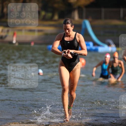 08.09.2024 - Stadtparktriathlon Michael Strokosch http://msf.ph/oto/7027271 08.09.2024 10:12:43 Schwimmen 290, 292, 332, 352, 361 meine-sportfotos.de