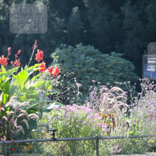 08.09.2024 - Stadtparktriathlon Zöllner http://msf.ph/oto/7027273 08.09.2024 10:54:53 Radfahren 43, 352, 385, 393, 406, 549, 551 meine-sportfotos.de