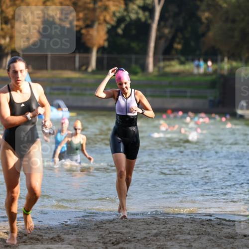 08.09.2024 - Stadtparktriathlon Michael Strokosch http://msf.ph/oto/7027278 08.09.2024 10:12:44 Schwimmen 290, 292, 332, 352, 361 meine-sportfotos.de