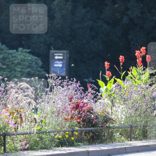 08.09.2024 - Stadtparktriathlon Zöllner http://msf.ph/oto/7027280 08.09.2024 10:54:54 Radfahren 43, 352, 385, 393, 406, 549, 551 meine-sportfotos.de