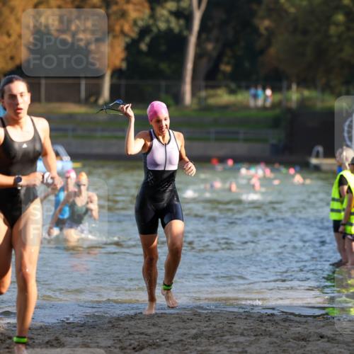08.09.2024 - Stadtparktriathlon Michael Strokosch http://msf.ph/oto/7027282 08.09.2024 10:12:44 Schwimmen 290, 292, 332, 352, 361 meine-sportfotos.de